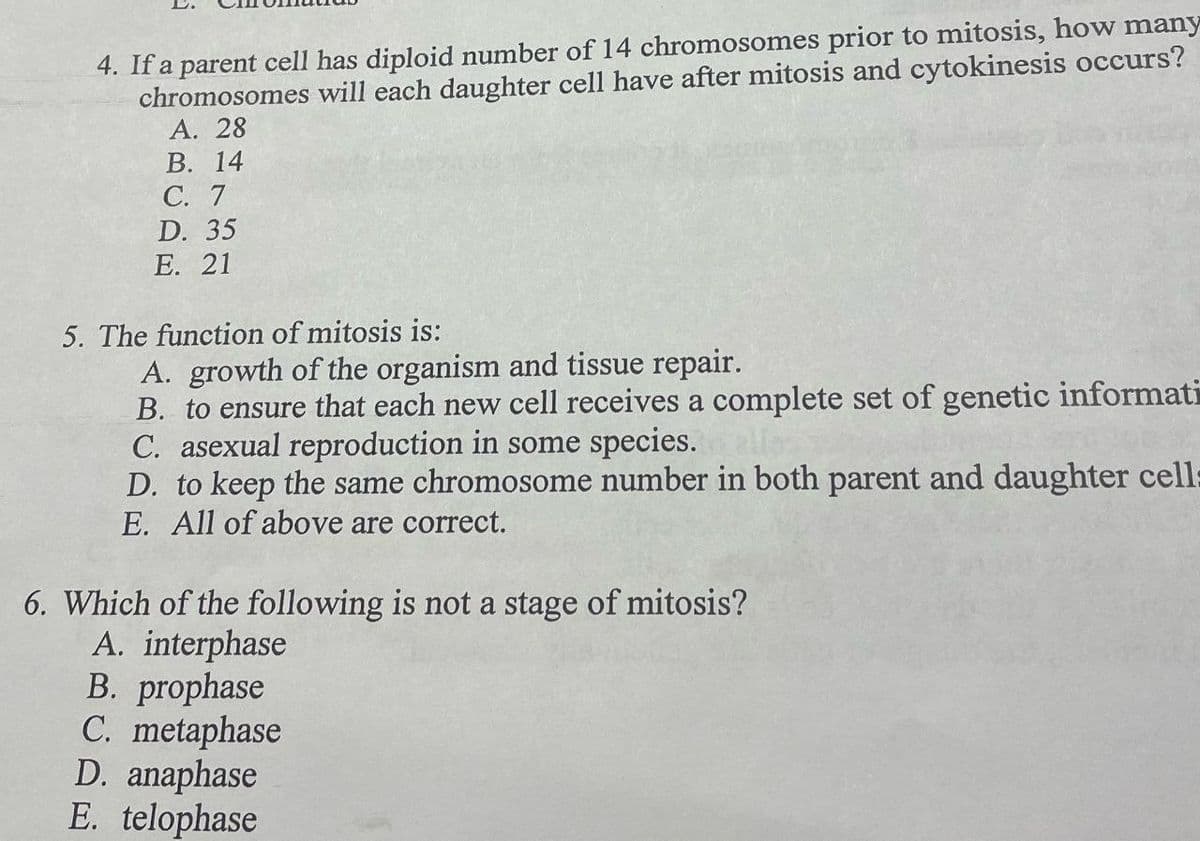 4. If a parent cell has diploid number of 14 chromosomes prior to mitosis, how many
chromosomes will each daughter cell have after mitosis and cytokinesis occurs?
A. 28
B. 14
C. 7
D. 35
E. 21
5. The function of mitosis is:
A. growth of the organism and tissue repair.
B. to ensure that each new cell receives a complete set of genetic informati
C. asexual reproduction in some species.
37
D. to keep the same chromosome number in both parent and daughter cell:
E. All of above are correct.
6. Which of the following is not a stage of mitosis?
A. interphase
B. prophase
C. metaphase
D. anaphase
E. telophase