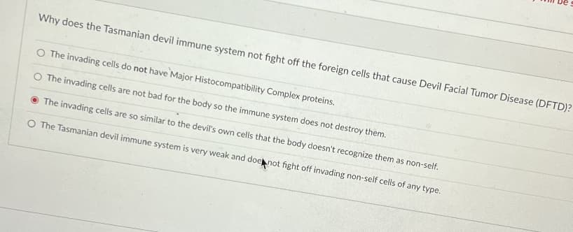 Why does the Tasmanian devil immune system not fight off the foreign cells that cause Devil Facial Tumor Disease (DFTD)?
O The invading cells do not have Major Histocompatibility Complex proteins.
O The invading cells are not bad for the body so the immune system does not destroy them.
The invading cells are so similar to the devil's own cells that the body doesn't recognize them as non-self.
O The Tasmanian devil immune system is very weak and doenot fight off invading non-self cells of any type.
