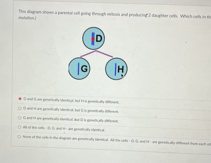 This diagram shows a parental cell going through mitosis and producing 2 daughter cells. Which cells in th-
mutation.)
D
|G
H)
D and G are genetically identical, but H is genetically different.
O D and H are genetically identical, but G is genetically different.
O Gand H are genetically identical, but D is genetically different.
O All of the cells - D, G, and H - are genetically identical.
O None of the cells in the diagram are genetically identical. All the cells - D, G, and H- are genetically different from each otl
