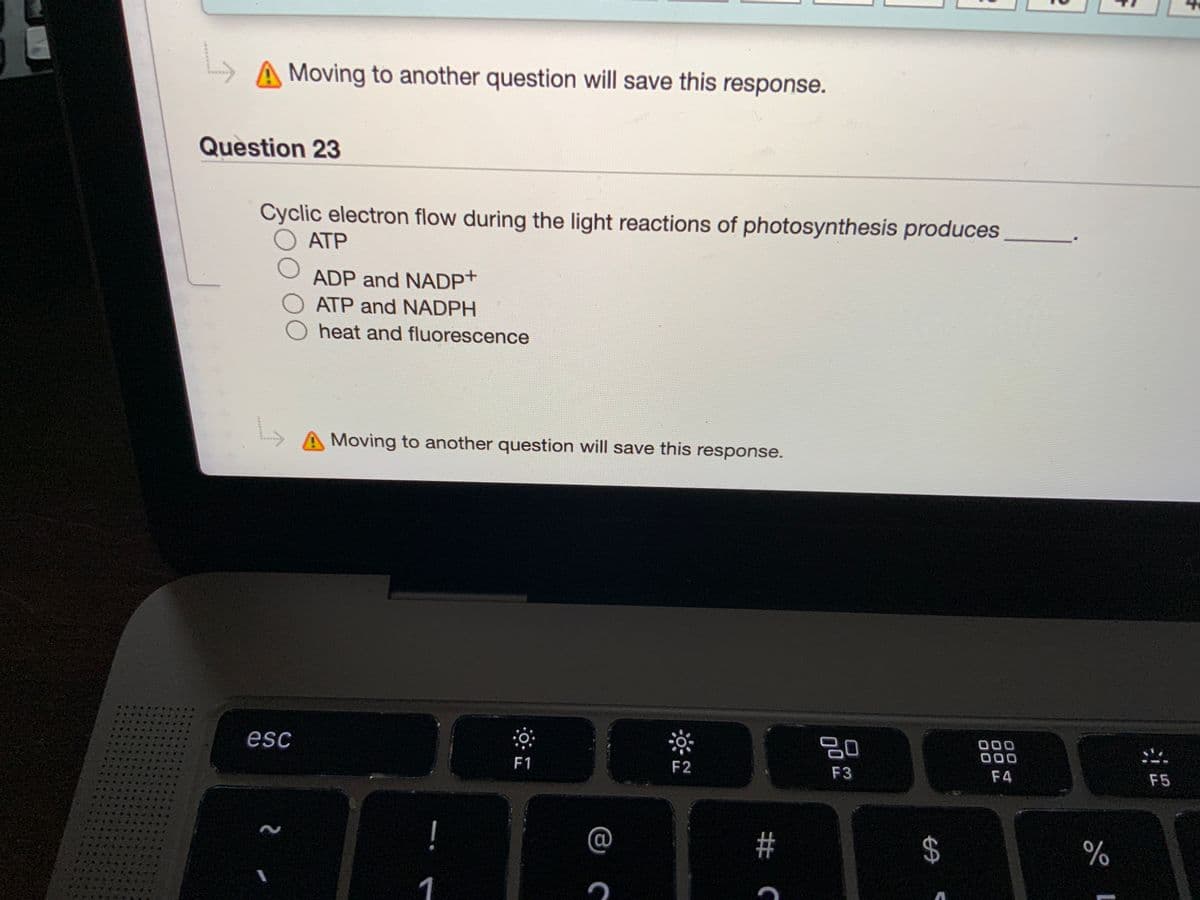 Moving to another question will save this response.
Question 23
Cyclic electron flow during the light reactions of photosynthesis produces
ATP
ADP and NADP+
ATP and NADPH
heat and fluorescence
Moving to another question will save this response.
esc
吕0
000
000
F1
F2
F3
F4
F5
@
#
24
1
