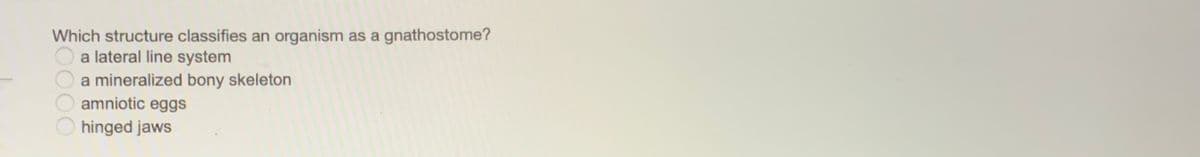 Which structure classifies an organism as a gnathostome?
a lateral line system
a mineralized bony skeleton
amniotic eggs
hinged jaws
