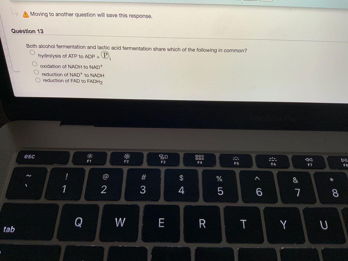 A Moving to another question will save this response.
Question 13
Both alcohol fermentation and lactic acid fermentation share which of the following in common?
hydrolysis of ATP to ADP +
oxidation of NADH to NAD+
reduction of NAD* to NADH
reduction of FAD to FADH2
MacBook Pro
esc
80
000
000
F1
F2
DII
F3
F4
F5
F6
F7
F&
!
#
2$
&
1
2
3
4
7
8.
Q
W
E
R
Y
tab
< co
