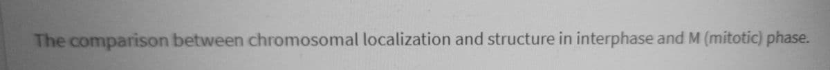 The comparison between chromosomal localization and structure in interphase and M (mitotic) phase.