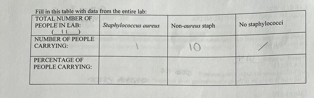 Fill in this table with data from the entire lab:
TOTAL NUMBER OF
PEOPLE IN LAB:
(1)
NUMBER OF PEOPLE
CARRYING:
PERCENTAGE OF
PEOPLE CARRYING:
Staphylococcus aureus
NO
Non-aureus staph
10
No staphylococci
PT1102