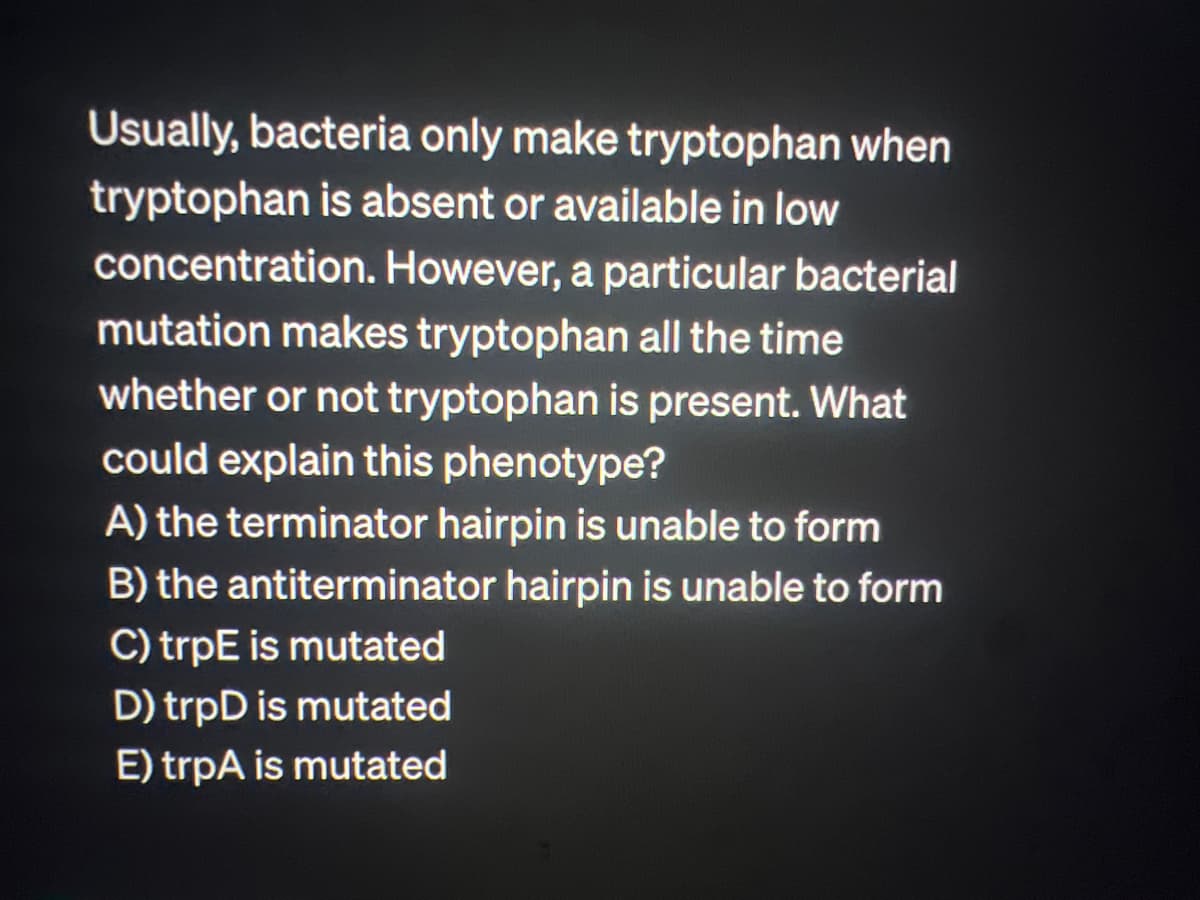 Usually, bacteria only make tryptophan when
tryptophan is absent or available in low
concentration. However, a particular bacterial
mutation makes tryptophan all the time
whether or not tryptophan is present. What
could explain this phenotype?
A) the terminator hairpin is unable to form
B) the antiterminator hairpin is unable to form
C) trpE is mutated
D) trpD is mutated
E) trpA is mutated