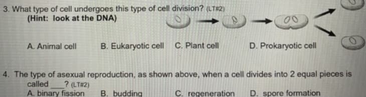 3. What type of cell undergoes this type of cell division? (LT#2)
(Hint: look at the DNA)
A. Animal cell
B. Eukaryotic cell C. Plant cell
D. Prokaryotic cell
4. The type of asexual reproduction, as shown above, when a cell divides into 2 equal pieces is
? (LT#2)
A. binary fission
called
B. budding
C. regeneration
D. spore formation

