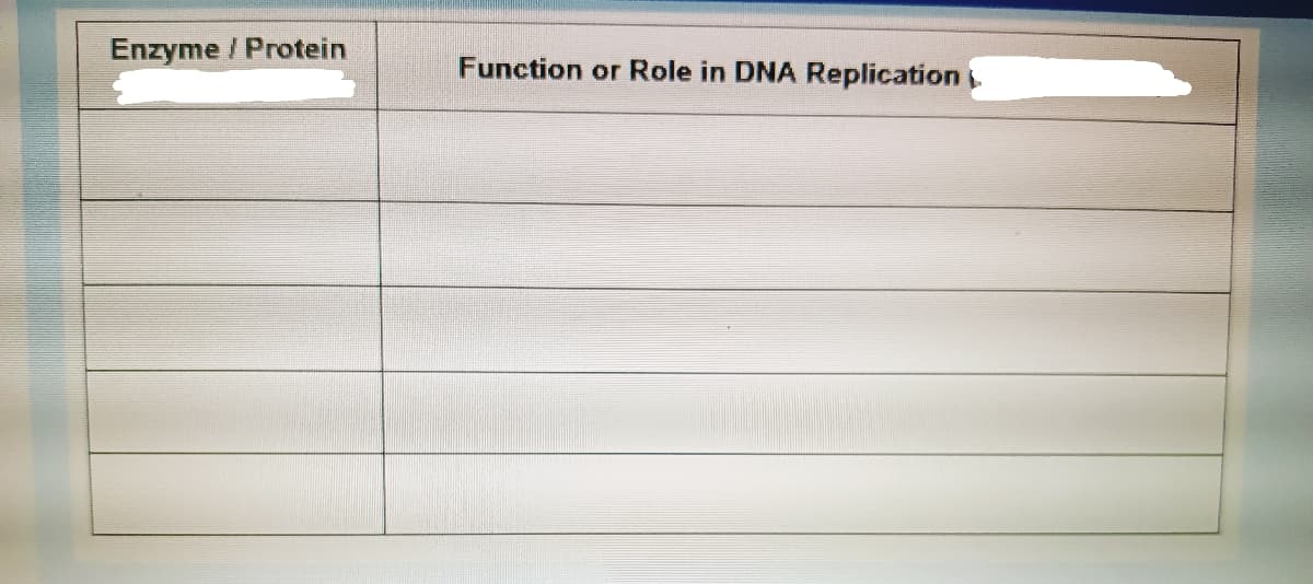 Enzyme / Protein
Function or Role in DNA Replication
