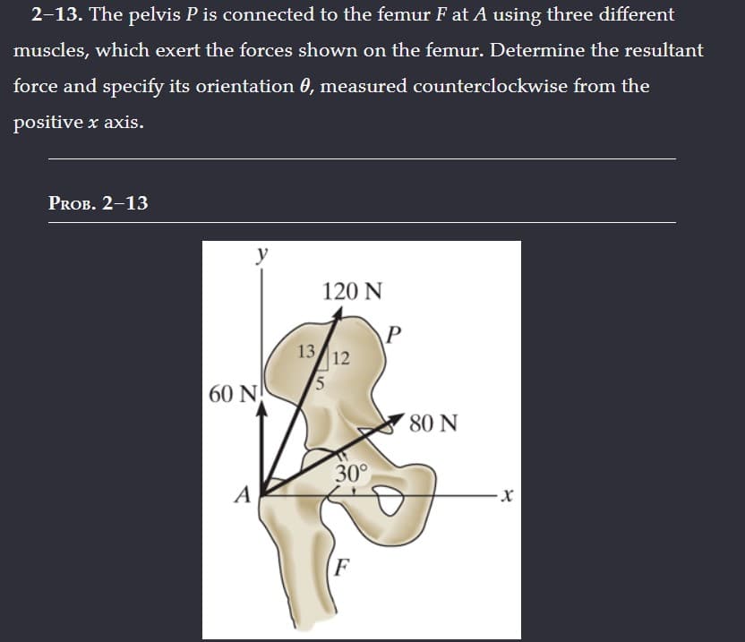 2-13. The pelvis P is connected to the femur Fat A using three different
muscles, which exert the forces shown on the femur. Determine the resultant
force and specify its orientation 0, measured counterclockwise from the
positive x axis.
PROB. 2-13
y
60 N
A
120 N
13 12
5
30°
F
P
80 N
-X