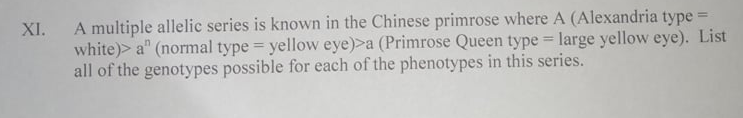 XI.
A multiple allelic series is known in the Chinese primrose where A (Alexandria type =
white)> a" (normal type = yellow eye)>a (Primrose Queen type large yellow eye). List
all of the genotypes possible for each of the phenotypes in this series.
%3D
