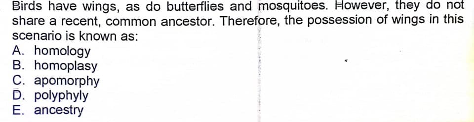 Birds have wings, as do butterflies and mosquitoes. However, they do not
share a recent, common ancestor. Therefore, the possession of wings in this
scenario is known as:
A. homology
B. homoplasy
C. apomorphy
D. polyphyly
E. ancestry
