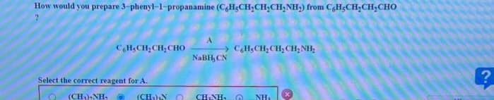 How would you prepare 3-phenyl-1-propanamine (C&H-CH₂CH₂CH₂NH₂) from C&H,CH₂CH₂CHO
C HẠCH,CH,CHO
Select the correct reagent for A.
Ⓡ (CH,ANH, ơi (CH₂)NO
> C HẠCH,CH,CH;NH,
NaBH, CN
CHÍNH, Ố NH₁
?