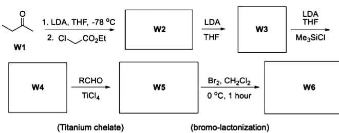 W1
1. LDA, THF, -78 °C
2. CI CO₂Et
RCHO
TICI4
(Titanium chelate)
W4
W2
W5
LDA
THF
Br₂, CH₂Cl₂
0 °C, 1 hour
(bromo-lactonization)
W3
LDA
THF
Me3SICI
W6