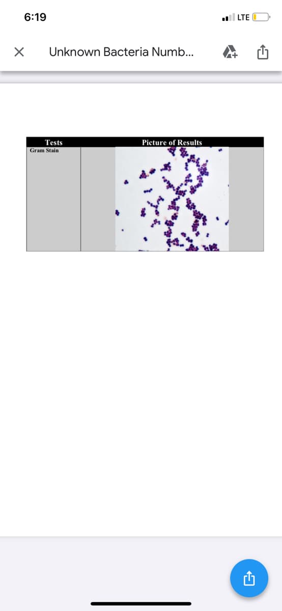 6:19
LTE
Unknown Bacteria Numb...
Tests
Picture of Results
Gram Stain
