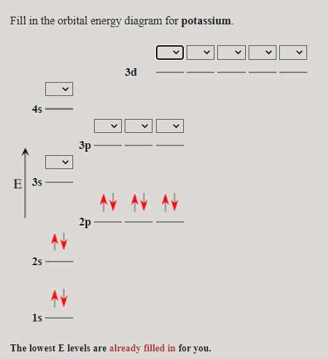 Fill in the orbital energy diagram for potassium.
3d
4s
3p
E 3s
AV AV
2p
2s
1s
The lowest E levels are already filled in for you.
>
>
>
