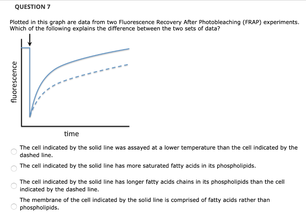 QUESTION 7
Plotted in this graph are data from two Fluorescence Recovery After Photobleaching (FRAP) experiments.
Which of the following explains the difference between the two sets of data?
fluorescence
O
time
The cell indicated by the solid line was assayed at a lower temperature than the cell indicated by the
dashed line.
The cell indicated by the solid line has more saturated fatty acids in its phospholipids.
The cell indicated by the solid line has longer fatty acids chains in its phospholipids than the cell
indicated by the dashed line.
The membrane of the cell indicated by the solid line is comprised of fatty acids rather than
Ophospholipids.