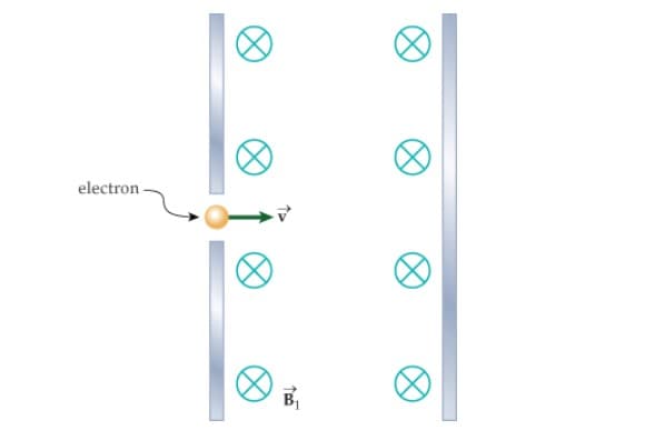 electron
B₁