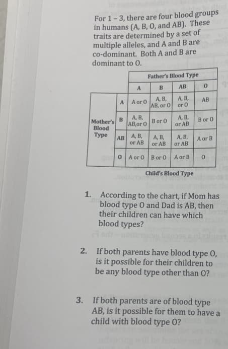 For 1-3, there are four blood groups
in humans (A, B, O, and AB). These
traits are determined by a set of
multiple alleles, and A and B are
co-dominant. Both A and B are
dominant to 0.
Mother's
Blood
A
B
Туре AB
A
A or 0
A, B,
AB,or 0
A, B,
or AB
Father's Blood Type
B
AB
A, B,
A, B,
AB, or O
or 0
B or O
A, B,
or AB
O A or 0 B or 0
A, B,
or AB
A, B,
or AB
A or B
Child's Blood Type
0
AB
B or 0
A or B
0
1. According to the chart, if Mom has
blood type 0 and Dad is AB, then
their children can have which
blood types?
2. If both parents have blood type 0,
is it possible for their children to
be any blood type
other than O?
3. If both parents are of blood type
AB, is it possible for them to have a
child with blood type 0?