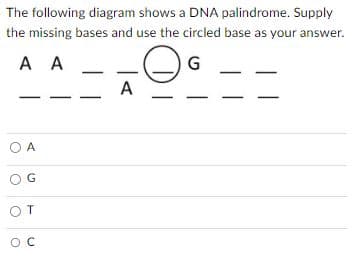The following diagram shows a DNA palindrome. Supply
the missing bases and use the circled base as your answer.
A A
G
ОА
OG
от
ос
A