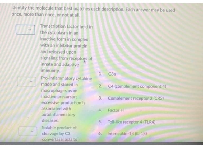 Identify the molecule that best matches each description. Each answer may be used
once, more than once, or not at all.
Transcription factor held in
the cytoplasm in an
inactive form in complex
with an inhibitor protein
and released upon
signaling from receptors of
innate and adaptive
immunity.
Pro-inflammatory cytokine
made and stored in
macrophages as an
inactive precursor;
excessive production is
associated with
autoinflammatory
diseases.
Soluble product of
cleavage by C3
convertase, acts to
1. C3a
2. C4 (complement component 4)
3. Complement receptor 2 (CR2)
4. Factor H
5.
6. Interleukin-1B (IL-1B)
Toll-like receptor 4 (TLR4)