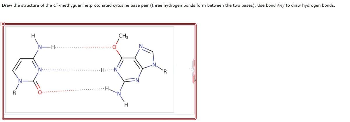 Draw the structure of the 06-methyguanine:protonated cytosine base pair (three hydrogen bonds form between the two bases). Use bond Any to draw hydrogen bonds.
CH3
N-
N-
R
R
'N.
H
