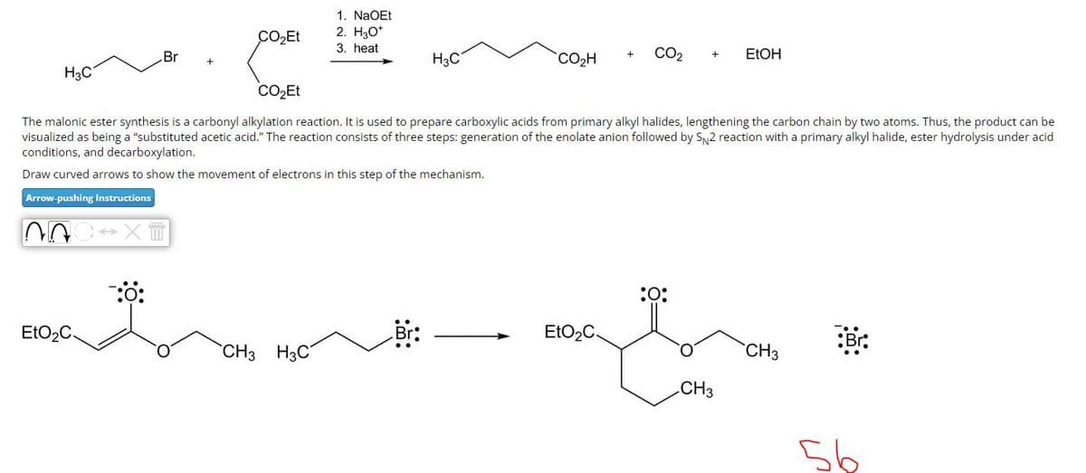 1. NaOEt
CO₂Et
2. H3O+
3. heat
Br
H3C
H₁C
CO₂Et
CO₂H
CO2
+
EtOH
The malonic ester synthesis is a carbonyl alkylation reaction. It is used to prepare carboxylic acids from primary alkyl halides, lengthening the carbon chain by two atoms. Thus, the product can be
visualized as being a "substituted acetic acid." The reaction consists of three steps: generation of the enolate anion followed by SN2 reaction with a primary alkyl halide, ester hydrolysis under acid
conditions, and decarboxylation.
Draw curved arrows to show the movement of electrons in this step of the mechanism.
Arrow-pushing Instructions
EtO₂C
X
¯:0:
:0:
Br:
EtO₂C.
Br
CH3 H3C
CH3
CH3
56