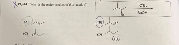 XPQ-14.
PQ-14. What is the major product of this reaction?
(A)
(C)
d
(B)
(D)
O'Bu
Br
O'Bu
BUOH