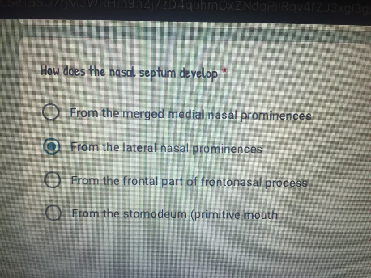 IBSU/IM3WRHm9h2j/zD4gohm0xZNdqRlIRqv4tZJ3xg13g,
How does the nasal septum develop
From the merged medial nasal prominences
From the lateral nasal prominences
From the frontal part of frontonasal process
From the stomodeum (primitive mouth
