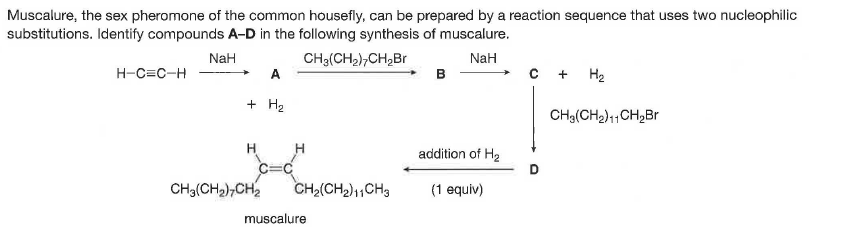 Muscalure, the sex pheromone of the common housefly, can be prepared by a reaction sequence that uses two nucleophilic
substitutions. Identify compounds A-D in the following synthesis of muscalure.
NaH
CH3(CH2),CH,Br
A
NaH
H-C=C-H
в
H2
+
+ H2
CHg(CH2)11CH2B
H
H
addition of H2
C=C
D
CH3(CH2),CH2
CH2(CH2)1,CHg
(1 equiv)
muscalure
