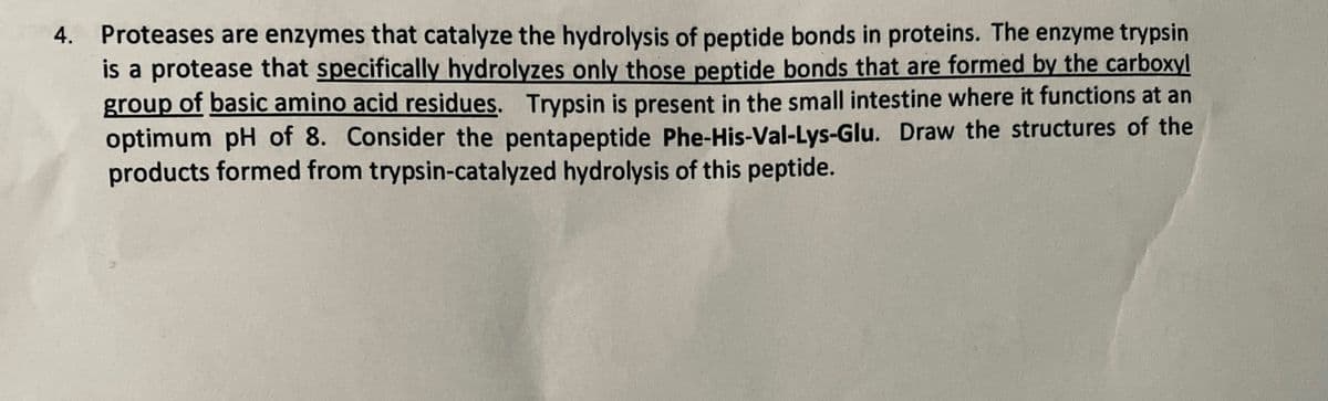 4.
Proteases are enzymes that catalyze the hydrolysis of peptide bonds in proteins. The enzyme trypsin
is a protease that specifically hydrolyzes only those peptide bonds that are formed by the carboxyl
group of basic amino acid residues. Trypsin is present in the small intestine where it functions at an
optimum pH of 8. Consider the pentapeptide Phe-His-Val-Lys-Glu. Draw the structures of the
products formed from trypsin-catalyzed hydrolysis of this peptide.