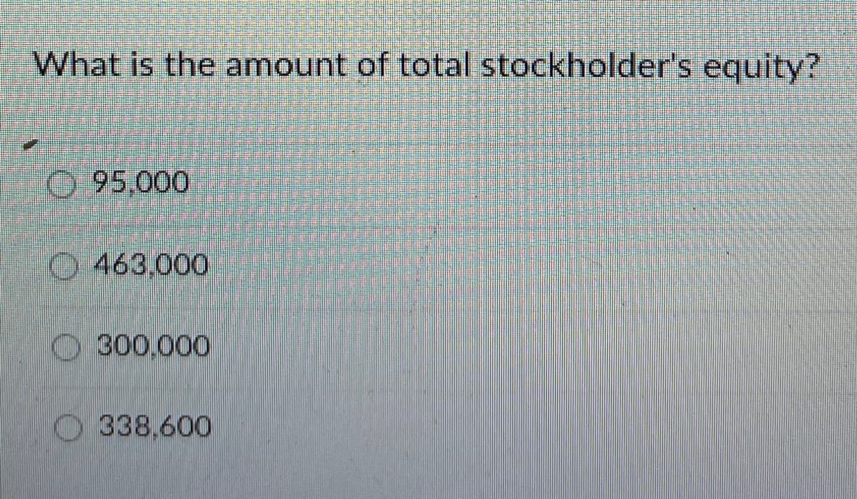 What is the amount of total stockholder's equity?
95.000
463,000
300,000
338,600