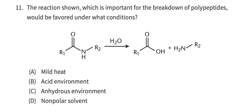 11. The reaction shown, which is important for the breakdown of polypeptides,
would be favored under what conditions?
R₁
(A) Mild heat
(B) Acid environment
R₂
(C) Anhydrous environment
(D) Nonpolar solvent
H₂O
R₁
OH
+ H₂NR₂