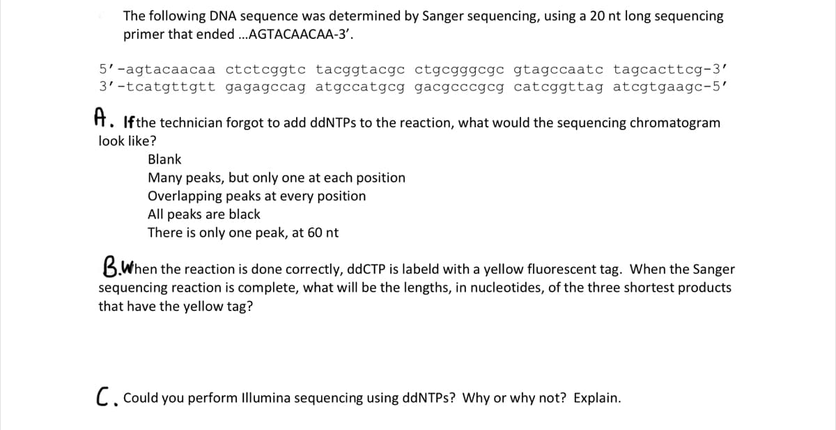 The following DNA sequence was determined by Sanger sequencing, using a 20 nt long sequencing
primer that ended ...AGTACAACAA-3'.
5'-agtacaacaa ctctcggtc tacggtacgc ctgcgggcgc gtagccaatc tagcacttcg-3'
3'-tcatgttgtt gagagccag atgccatgcg gacgcccgcg catcggttag atcgtgaagc-5′
A. If the technician forgot to add ddNTPs to the reaction, what would the sequencing chromatogram
look like?
Blank
Many peaks, but only one at each position
Overlapping peaks at every position
All peaks are black
There is only one peak, at 60 nt
B.When the reaction is done correctly, ddCTP is labeld with a yellow fluorescent tag. When the Sanger
sequencing reaction is complete, what will be the lengths, in nucleotides, of the three shortest products
that have the yellow tag?
C. Could you perform Illumina sequencing using ddNTPs? Why or why not? Explain.