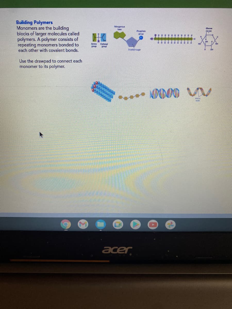 Building Polymers
Monomers are the building
blocks of larger molecules called
polymers. A polymer consists of
repeating monomers bonded to
each other with covalent bonds.
Nogen
base
CHOH
Arre
Caba
Sters
Use the drawpad to connect each
monomer to its polymer.
acer
