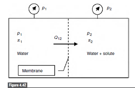 P2
1) P1
P2
P1
Q12
T2
Water + solute
Water
Membrane
Figure 4.42
