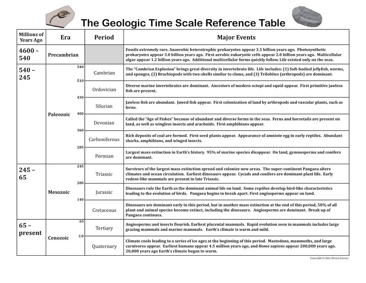 The Geologic Time Scale Reference Table
Millions of
Era
Period
Major Events
Years Ago
4600 -
Fossils extremely rare. Anaerobic heterotrophic prokaryotes appear 3.5 billion years ago. Photosynthetic
prokaryotes appear 3.0 billion years ago. First aerobic eukaryotic cells appear 2.0 billion years ago. Multicellular
algae appear 1.2 billion years ago. Additional multicellular forms quickly follow. Life existed only on the seas.
Precambrian
540
540
540 -
The "Cambrian Explosion" brings great diversity in invertebrate life. Life includes: (1) Soft-bodied jellyfish, worms,
and sponges, (2) Brachiopods with two-shells similar to clams, and (3) Trilobites (arthropods) are dominant.
Cambrian
245
510
Diverse marine invertebrates are dominant. Ancestors of modern octopi and squid appear. First primitive jawless
fish are present.
Ordovician
430
Jawless fish are abundant. Jawed fish appear. First colonization of land by arthropods and vascular plants, such as
Silurian
ferns.
Paleozoic
400
Called the "Age of Fishes" because of abundant and diverse forms in the seas. Ferns and horsetails are present on
land, as well as wingless insects and arachnids. First amphibians appear.
Devonian
360
Rich deposits of coal are formed. First seed plants appear. Appearance of amniote egg in early reptiles. Abundant
sharks, amphibians, and winged insects.
Carboniferous
285
Largest mass extinction in Earth's history. 95% of marine species disappear. On land, gymnosperms and conifers
are dominant.
Permian
245
Survivors of the largest mass extinction spread and colonize new areas. The super-continent Pangaea alters
climates and ocean circulation. Earliest dinosaurs appear. Cycads and conifers are dominant plant life. Early
rodent-like mammals are present in late Triassic.
245 -
Triassic
65
200
Dinosaurs rule the Earth as the dominant animal life on land. Some reptiles develop bird-like characteristics
leading to the evolution of birds. Pangaea begins to break apart. First angiosperms appear on land.
Mesozoic
Jurassic
140
Dinosaurs are dominant early in this period, but in another mass extinction at the end of this period, 50% of all
plant and animal species become extinct, including the dinosaurs. Angiosperms are dominant. Break up of
Pangaea continues.
Cretaceous
65
65 -
Angiosperms and insects flourish. Earliest placental mammals. Rapid evolution seen in mammals includes large
Tertiary
grazing mammals and marine mammals. Earth's climate is warm and mild.
present
2.0
Cenozoic
Climate cools leading to a series of ice ages at the beginning of this period. Mastodons, mammoths, and large
carnivores appear. Earliest humans appear 4.5 million years ago, and Homo sapiens appear 200,000 years ago.
20,000 years ago Earth's climate began to warm.
Quaternary
Copyright © Amy Brown Science
