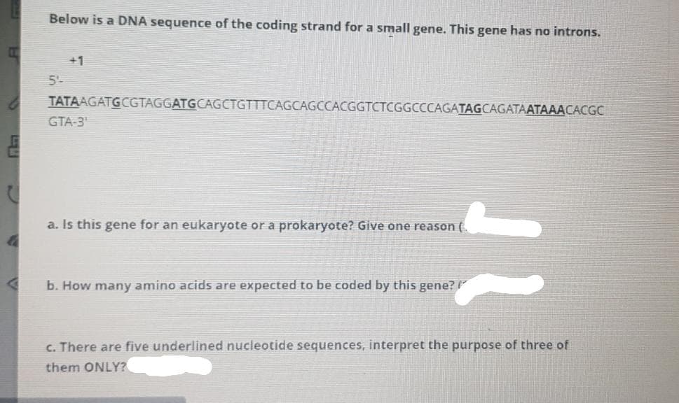 Below is a DNA sequence of the coding strand for a small gene. This gene has no introns.
+1
5'-
TATAAGATGCGTAGGATGCAGCTGTTTCAGCAGCCACGGTCTCGGCCCAGATAGCAGATAATAAACACGC
GTA-3
a. Is this gene for an eukaryote or a prokaryote? Give one reason (.
b. How many amino acids are expected to be coded by this gene?
c. There are five underlined nucleotide sequences, interpret the purpose of three of
them ONLY?
