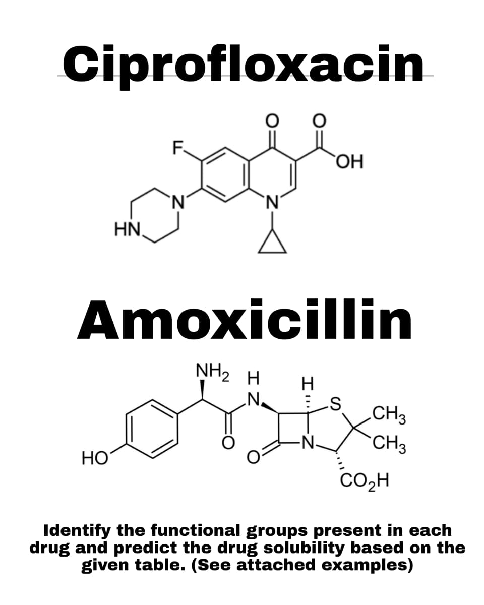 Ciprofloxacin
F.
`OH
HN,
Amoxicillin
NH2 H
„CH3
CH3
НО
CO,H
Identify the functional groups present in each
drug and predict the drug solubility based on the
given table. (See attached examples)
