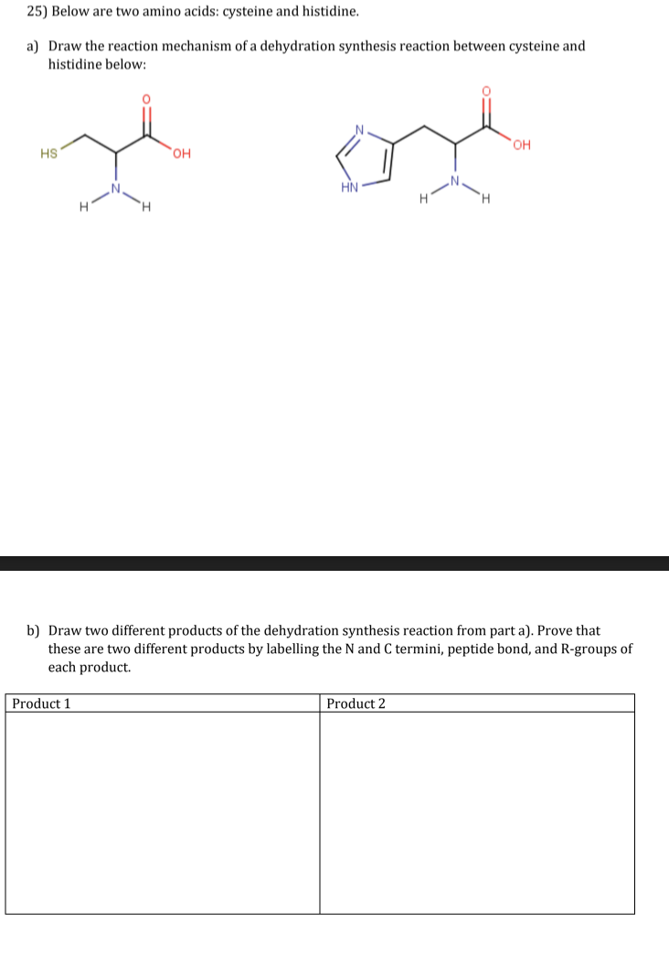 25) Below are two amino acids: cysteine and histidine.
a) Draw the reaction mechanism of a dehydration synthesis reaction between cysteine and
histidine below:
HS
H
Product 1
N
OH
HN
H
b) Draw two different products of the dehydration synthesis reaction from part a). Prove that
these are two different products by labelling the N and C termini, peptide bond, and R-groups of
each product.
Product 2
OH
