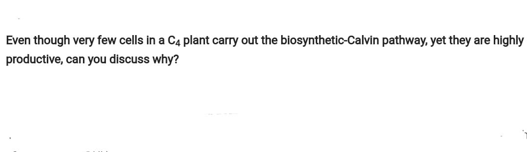 Even though very few cells in a C4 plant carry out the biosynthetic-Calvin pathway, yet they are highly
productive, can you discuss why?
