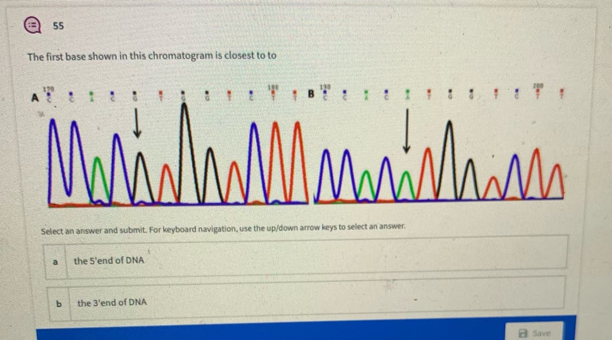 55
The first base shown in this chromatogram is closest to to
Select an answer and submit For keyboard navigation, use the up/down arrow keys to select an answer.
a
the 5'end of DNA
the 3'end of DNA
a Save
