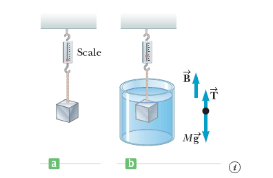 Scale
Mg
a
