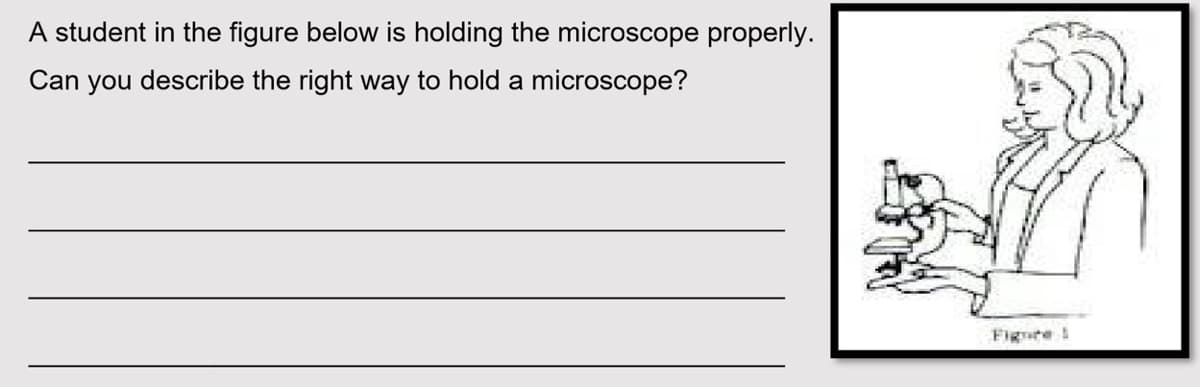 A student in the figure below is holding the microscope properly.
Can you describe the right way to hold a microscope?
Figure