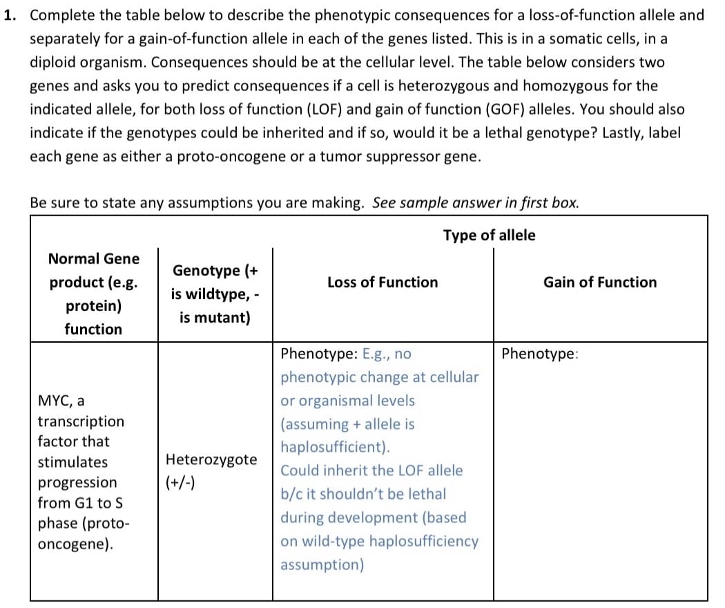 1. Complete the table below to describe the phenotypic consequences for a loss-of-function allele and
separately for a gain-of-function allele in each of the genes listed. This is in a somatic cells, in a
diploid organism. Consequences should be at the cellular level. The table below considers two
genes and asks you to predict consequences if a cell is heterozygous and homozygous for the
indicated allele, for both loss of function (LOF) and gain of function (GOF) alleles. You should also
indicate if the genotypes could be inherited and if so, would it be a lethal genotype? Lastly, label
each gene as either a proto-oncogene or a tumor suppressor gene.
Be sure to state any assumptions you are making. See sample answer in first box.
Type of allele
Normal Gene
Genotype (+
product (e.g.
Loss of Function
Gain of Function
is wildtype, -
is mutant)
protein)
function
Phenotype: E.g., no
Phenotype:
МҮС, а
transcription
factor that
phenotypic change at cellular
or organismal levels
(assuming + allele is
haplosufficient).
stimulates
Heterozygote
Could inherit the LOF allele
progression
(+/-)
b/c it shouldn't be lethal
from G1 to S
during development (based
phase (proto-
oncogene).
on wild-type haplosufficiency
assumption)
