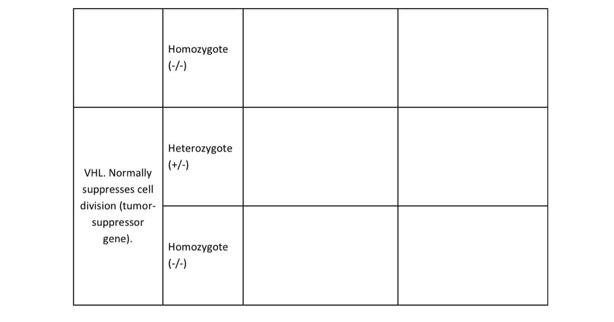Homozygote
(-1-)
Heterozygote
(+/-)
VHL. Normally
suppresses cell
division (tumor-
suppressor
gene).
Homozygote
(-/-)
