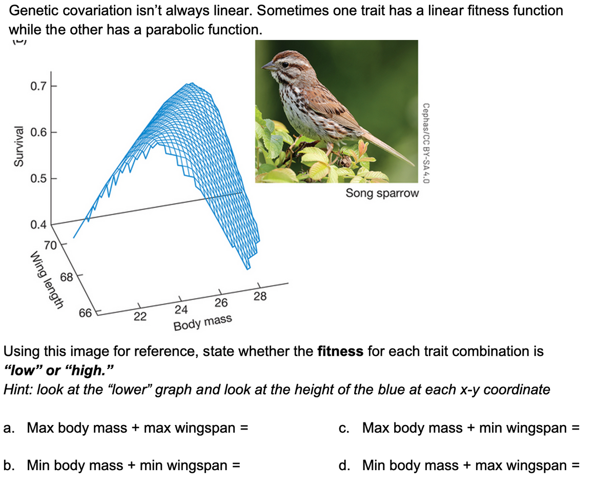 Genetic covariation isn't always linear. Sometimes one trait has a linear fitness function
while the other has a parabolic function.
141
Survival
0.7
0.6
0.5
0.4
I
70
length
68
66
22
24
26
Body mass
=
28
=
Song sparrow
Using this image for reference, state whether the fitness for each trait combination is
"low" or "high."
Hint: look at the "lower" graph and look at the height of the blue at each x-y coordinate
a. Max body mass + max wingspan
c. Max body mass + min wingspan
b. Min body mass + min wingspan
d. Min body mass + max wingspan
Cephas/CC BY-SA 4.0
=
=