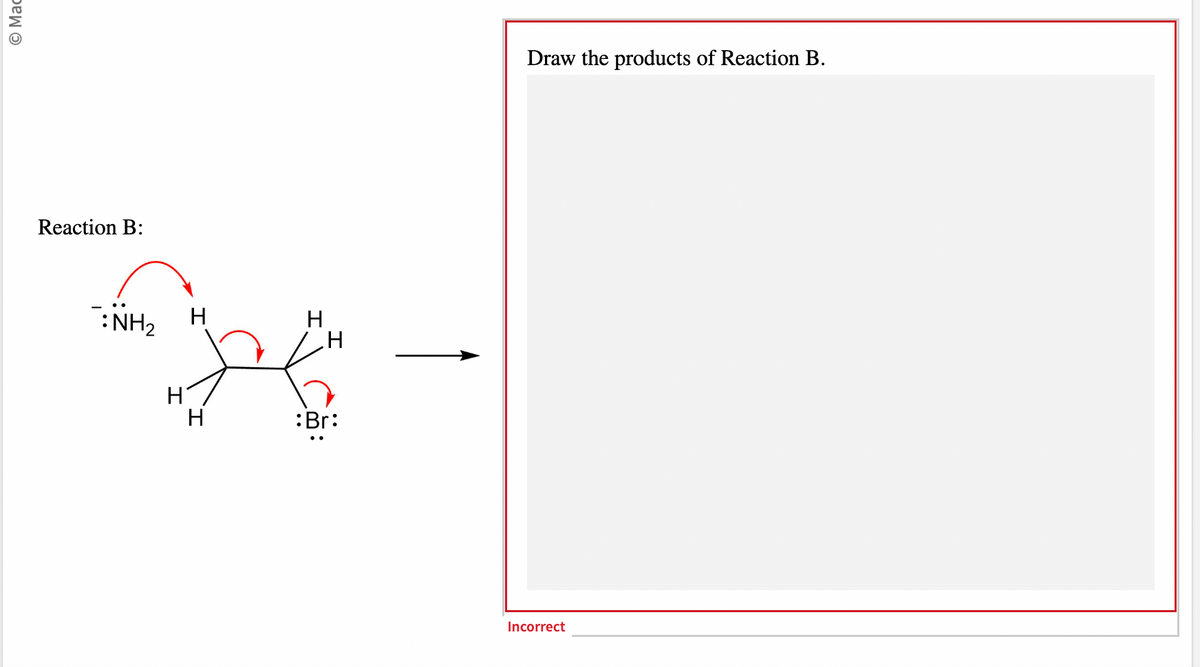 Mac
Reaction B:
NH₂
H
H
H
H
H
:Br:
Draw the products of Reaction B.
Incorrect
