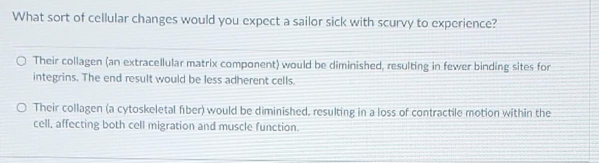 What sort of cellular changes would you expect a sailor sick with scurvy to experience?
O Their collagen (an extracellular matrix component) would be diminished, resulting in fewer binding sites for
integrins. The end result would be less adherent cells.
O Their collagen (a cytoskeletal fiber) would be diminished, resulting in a loss of contractile motion within the
cell, affecting both cell migration and muscle function.