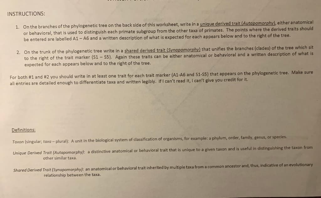 INSTRUCTIONS:
1. On the branches of the phylogenetic tree on the back side of this worksheet, write in a unique derived trait (Autapomorphy), either anatomical
or behavioral, that is used to distinguish each primate subgroup from the other taxa of primates. The points where the derived traits should
be entered are labelled A1 - A6 and a written description of what is expected for each appears below and to the right of the tree.
2. On the trunk of the phylogenetic tree write in a shared derived trait (Synapomorphy) that unifies the branches (clades) of the tree which sit
to the right of the trait marker (S1-S5). Again these traits can be either anatomical or behavioral and a written description of what is
expected for each appears below and to the right of the tree.
For both #1 and #2 you should write in at least one trait for each trait marker (A1-A6 and S1-S5) that appears on the phylogenetic tree. Make sure
all entries are detailed enough to differentiate taxa and written legibly. If I can't read it, I can't give you credit for it.
Definitions:
Taxon (singular; taxa-plural): A unit in the biological system of classification of organisms, for example: a phylum, order, family, genus, or species.
Unique Derived Trait (Autapomorphy): a distinctive anatomical or behavioral trait that is unique to a given taxon and is useful in distinguishing the taxon from
other similar taxa.
Shared Derived Trait (Synapomorphy): an anatomical or behavioral trait inherited by multiple taxa from a common ancestor and, thus, indicative of an evolutionary
relationship between the taxa.