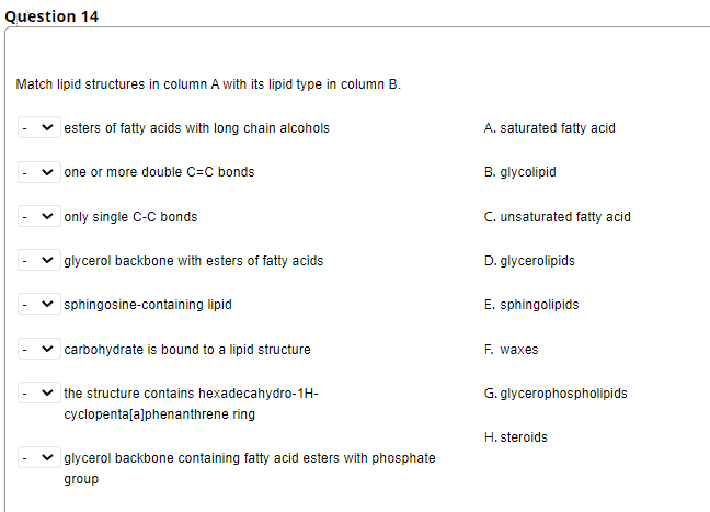 Question 14
Match lipid structures in column A with its lipid type in column B.
esters of fatty acids with long chain alcohols
one or more double C=C bonds
only single C-C bonds
glycerol backbone with esters of fatty acids
sphingosine-containing lipid
carbohydrate is bound to a lipid structure
the structure contains hexadecahydro-1H-
cyclopenta[a]phenanthrene ring
glycerol backbone containing fatty acid esters with phosphate
group
A. saturated fatty acid
B. glycolipid
C. unsaturated fatty acid
D. glycerolipids
E. sphingolipids
F. waxes
G. glycerophospholipids
H. steroids