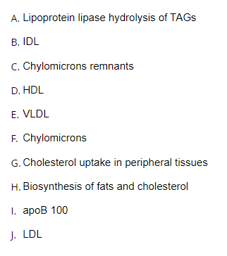 A. Lipoprotein lipase hydrolysis of TAGS
B. IDL
C. Chylomicrons remnants
D. HDL
E. VLDL
F. Chylomicrons
G. Cholesterol uptake in peripheral tissues
H. Biosynthesis of fats and cholesterol
I. apoв 100
J. LDL